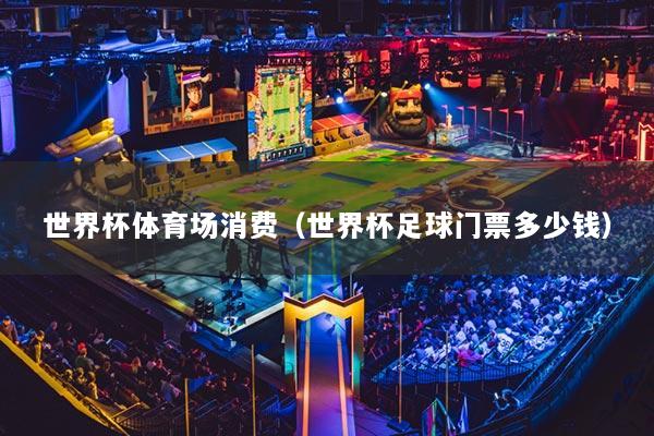世界杯体育场消费（世界杯足球门票多少钱）