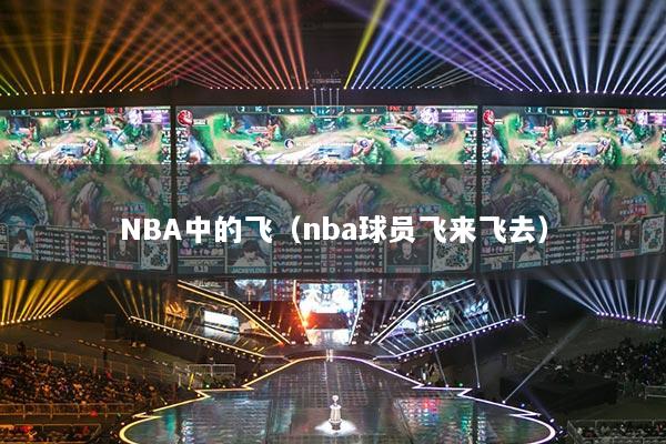 NBA中的飞（nba球员飞来飞去）