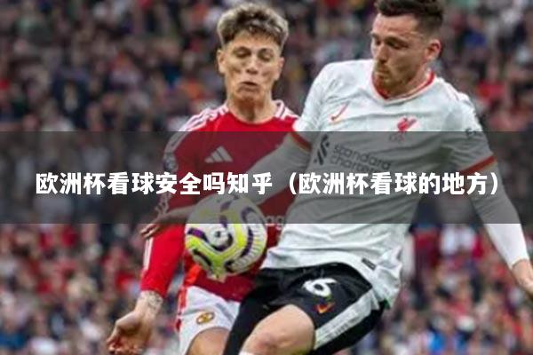 欧洲杯看球安全吗知乎（欧洲杯看球的地方）