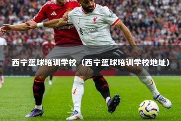 西宁篮球培训学校(西宁篮球培训学校地址)