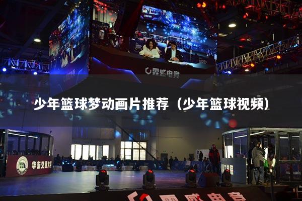 少年篮球梦动画片推荐(少年篮球视频)