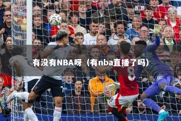 有没有NBA呀（有nba直播了吗）