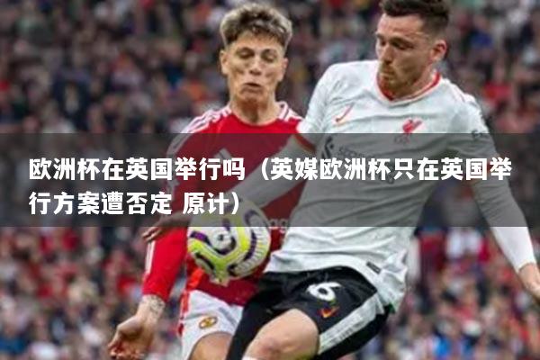 欧洲杯在英国举行吗（英媒欧洲杯只在英国举行方案遭否定 原计）