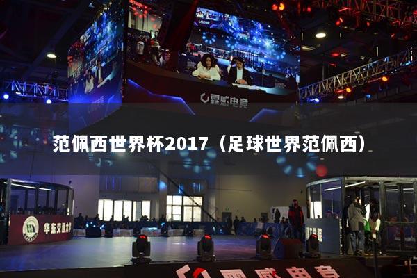 范佩西世界杯2017(足球世界范佩西)