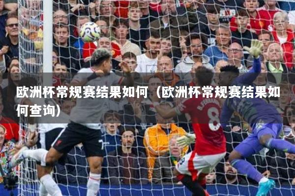 欧洲杯常规赛结果如何（欧洲杯常规赛结果如何查询）