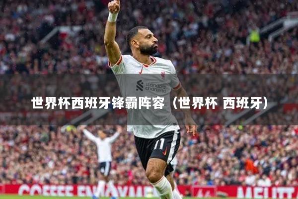 世界杯西班牙锋霸阵容(世界杯 西班牙)