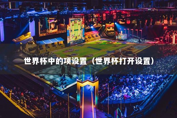 世界杯中的项设置（世界杯打开设置）