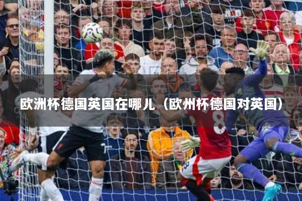 欧洲杯德国英国在哪儿（欧州杯德国对英国）