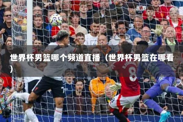 世界杯男篮哪个频道直播（世界杯男篮在哪看）
